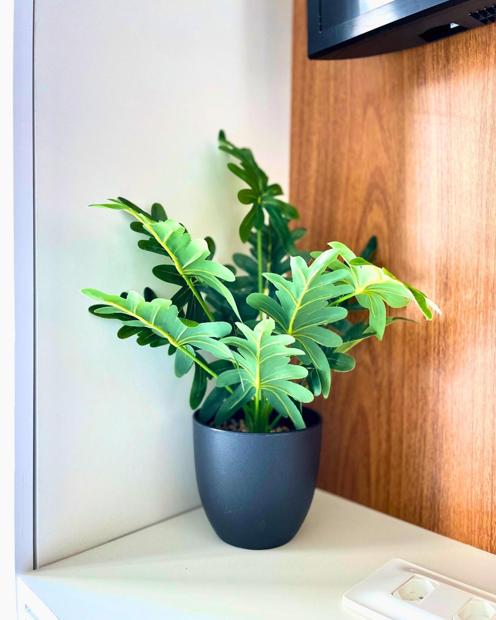 Flats By Bnb Flex - Costa Vicentina 累西腓 外观 照片
